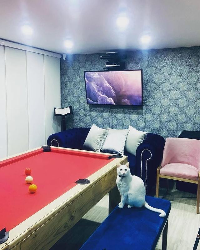 Sala de juegos con papel de colgadura azul y mesa de billar